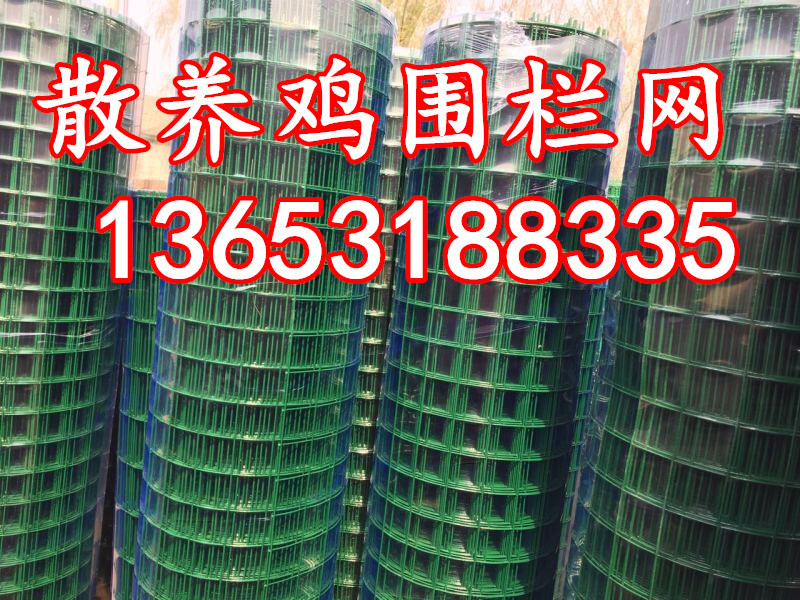 QQ图片20160409093451_副本