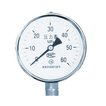 压力表 Y-100 0-25MPa M20*1.5
