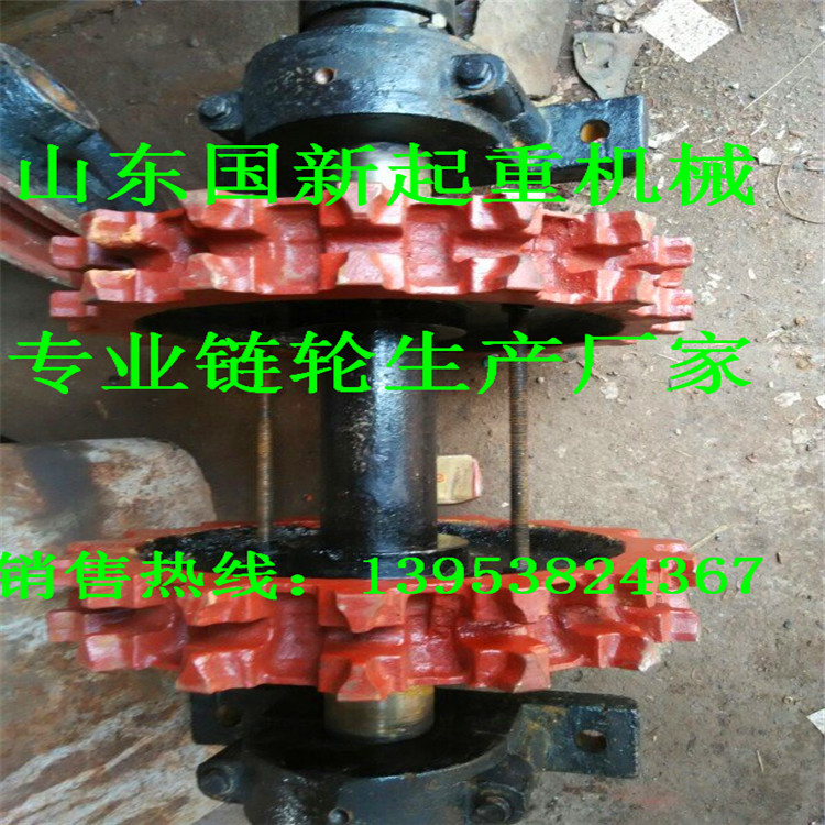 面向全国直销HL工业提升机链轮  NE150  200水泥提升机链轮 链轮