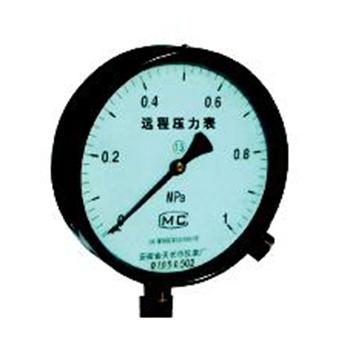 真空压力表 YZ-100  -0.1-1Mpa M20*1.5
