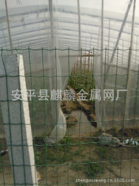 @`UHDTHDDO(UM@{4(_ZVZY3