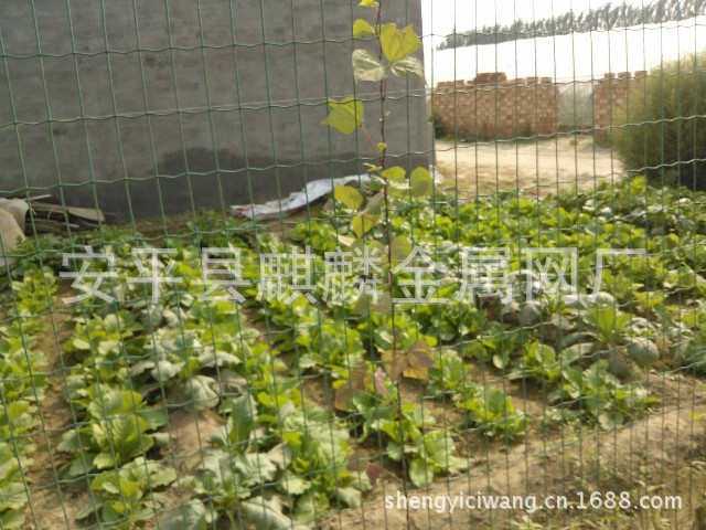 2CIWL%{$1UF`JG3OZU`8]6Y